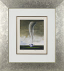 Tempest in a Teapot, 2007