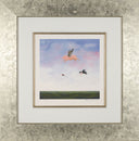 When Pigs Fly, 2007