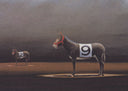 Ass Nine, 2009