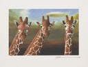 See No Evil, Hear No Evil, Speak No Evil (Giraffes), 2011