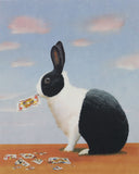 Jack Rabbit, 2012