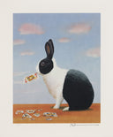 Jack Rabbit, 2012