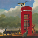 Cat Call, 2015