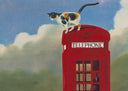 Cat Call, 2015
