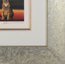 Cat-astrophie, 2015