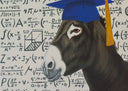 Smart Ass II, 2018