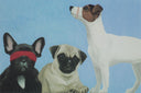 See No Evil, Hear No Evil, Speak No Evil XV (Dogs), 2021