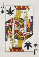 Jack Pot, 2019