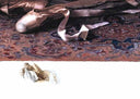 Satin Slippers II, 1996