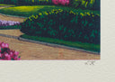 Dawn in Jackson Square, 2008