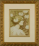 Untitled (Plate N), 1900