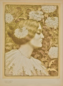 Untitled (Plate N), 1900