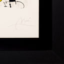 The Waterfall of Birds (M.701) by Joan Miró detail corner