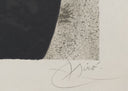 Untitled (Le Lézard aux Plumes d'Or, M.794), 1971