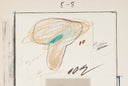 117 - Natural History: Mushrooms - Plate III, 1974