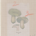 117 - Natural History: Mushrooms - Plate III, 1974