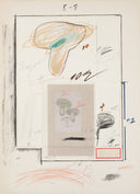 117 - Natural History: Mushrooms - Plate III, 1974