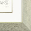 Untitled #5, 2013