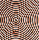 Ca Tourne (It's Spinning), 2003 by Philippe Bertho