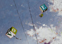 In the Wind, 2024