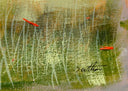 Ô Miró, 2025