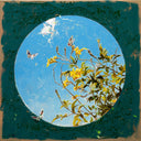 Miró Butterflies No. 9, 2025 by Philippe Bertho