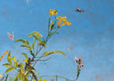 Miró Butterflies No. 10, 2025