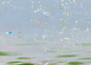 Out of the Green, 2026 by Philippe Bertho