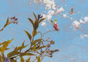 Wild Miró, 2026 by Philippe Bertho