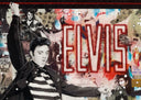 Elvis (7475), 2024 by DeVon Stanfield