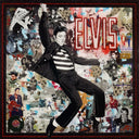 Elvis (7475), 2024 by DeVon Stanfield