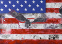 American Flag (8462), 2025 by DeVon Stanfield