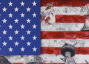 American Flag (8462), 2025 by DeVon Stanfield