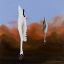 Swan Dive IV, 2014