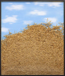 Needle in a Haystack, 2019