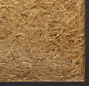 Needle in a Haystack, 2019
