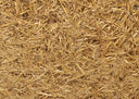 Needle in a Haystack, 2019