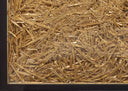 Needle in a Haystack, 2019