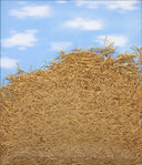 Needle in a Haystack, 2019