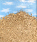 Needle in a Haystack, 2019