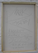 Radiant Awakening, 2023