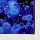 Gel Monochrome #9, 2019