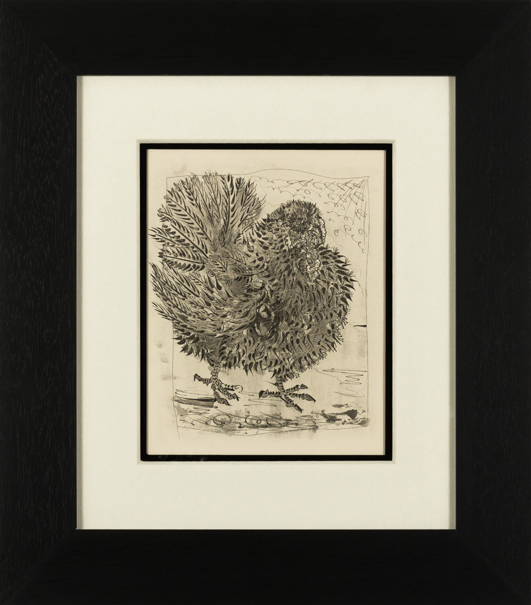 The Turkey (Histoire Naturelle - Textes de Buffon, B.346)