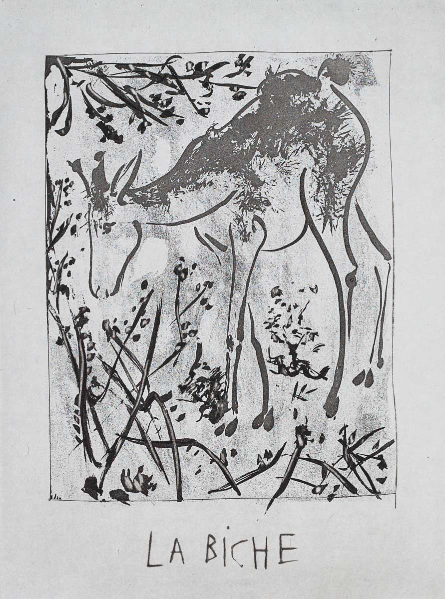 The Deer, 1942 (Histoire Naturelle - Textes de Buffon, B.336) by Pablo Picasso