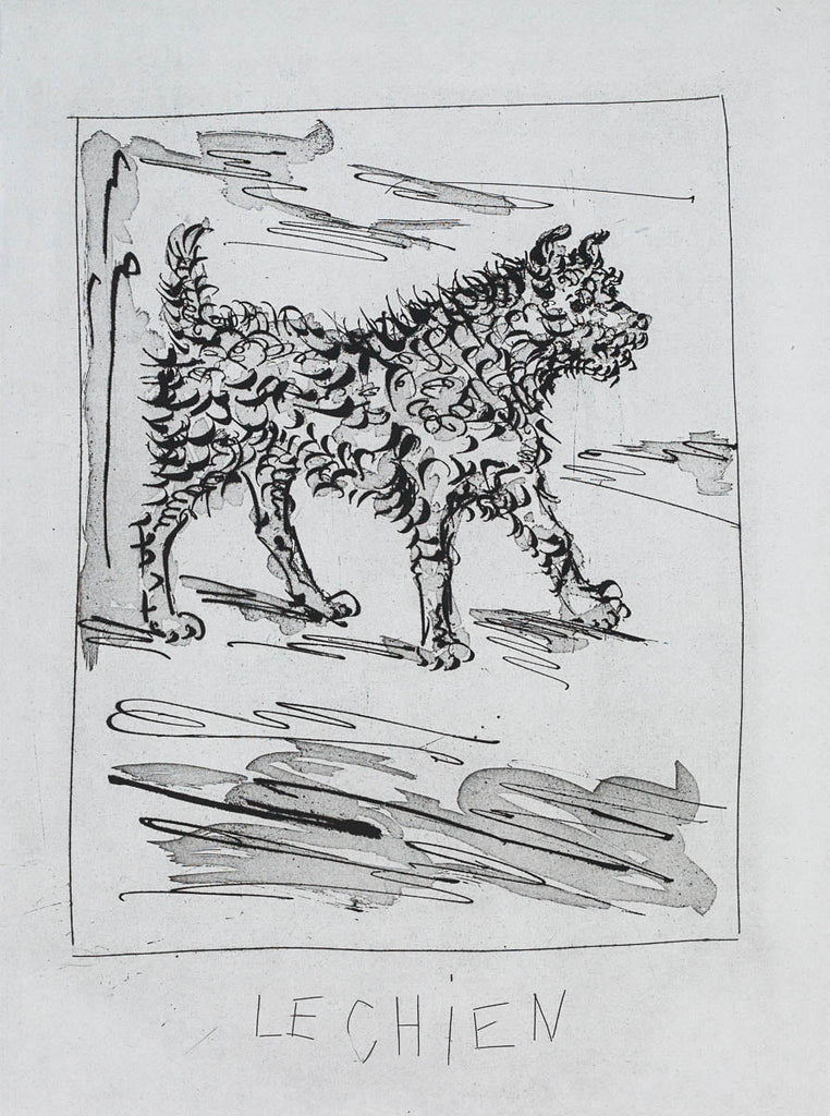 The Dog, 1942 (Histoire Naturelle - Textes de Buffon, B.334) by Pablo Picasso