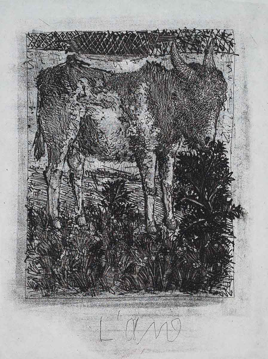 The Donkey, 1942 (Histoire Naturelle - Textes de Buffon, B.329) by Pablo Picasso