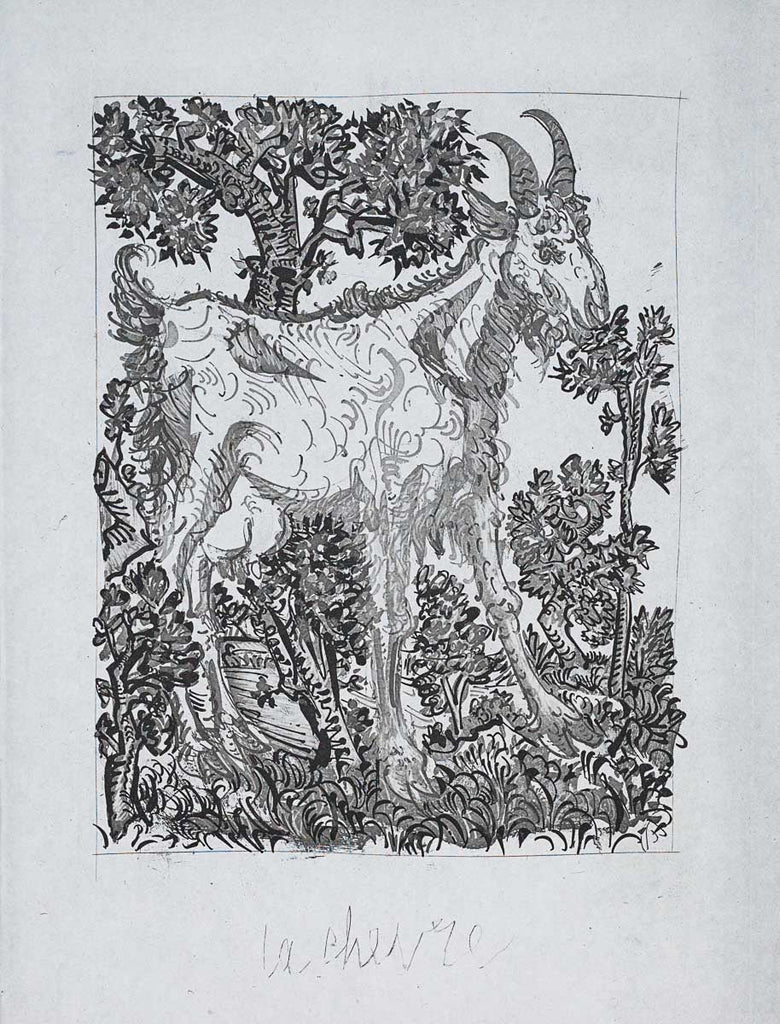 The Goat, 1942 (Histoire Naturelle - Textes de Buffon, B.335) by Pablo Picasso