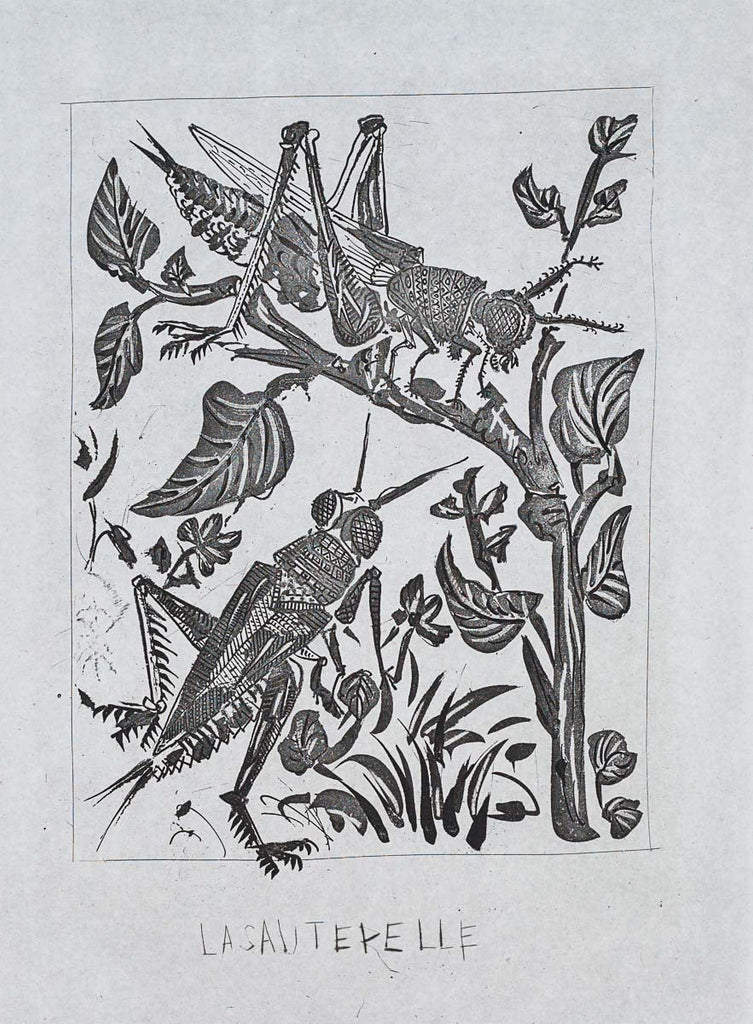 The Grasshopper, 1942 (Histoire Naturelle - Textes de Buffon, B.358) by Pablo Picasso