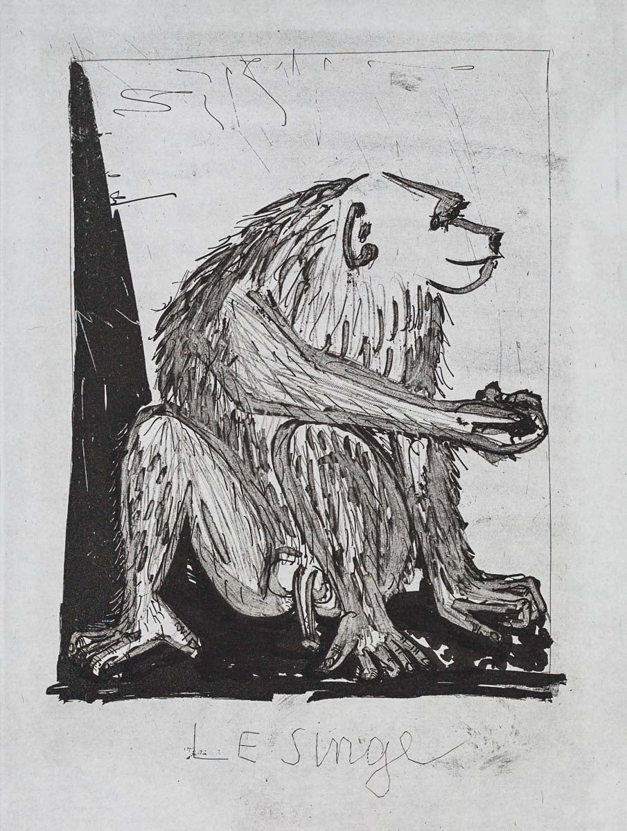 The Monkey, 1942 (Histoire Naturelle - Textes de Buffon, B.339) by Pablo Picasso