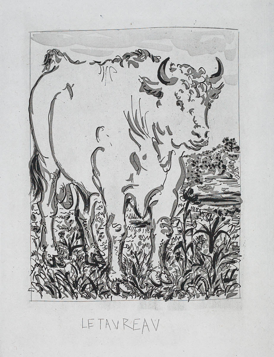 The Ox, 1942 (Histoire Naturelle - Textes de Buffon, B.330) by Pablo Picasso